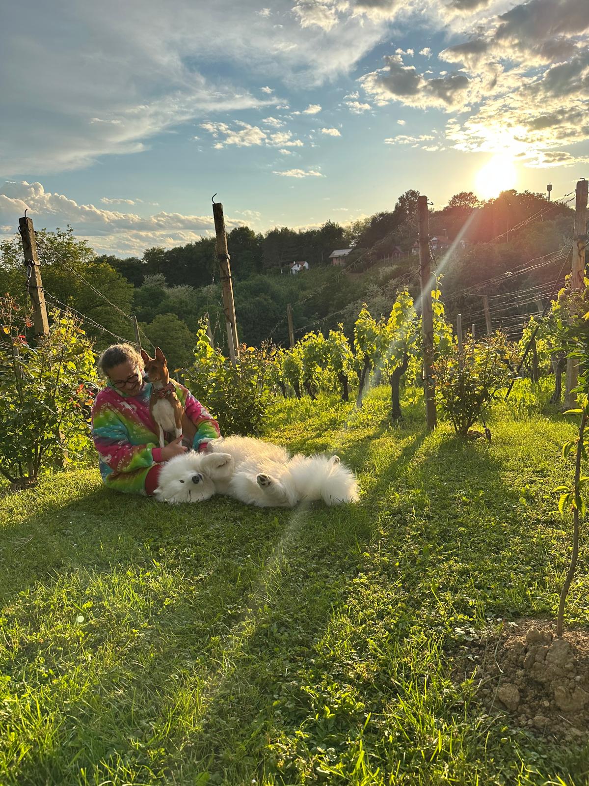 Varaždin 2025 (Kája + Chloe)